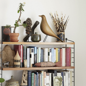 Eames House Bird