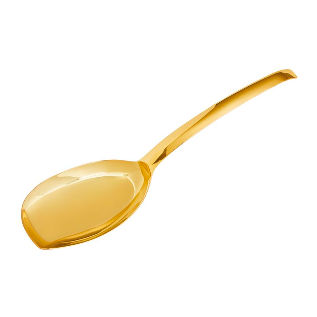 Spoon Serving Living Rice