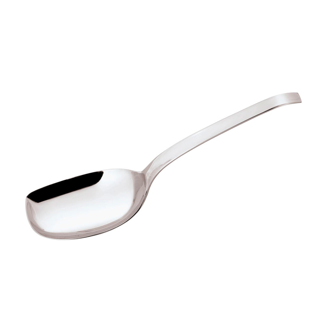 Spoon Serving Living Rice